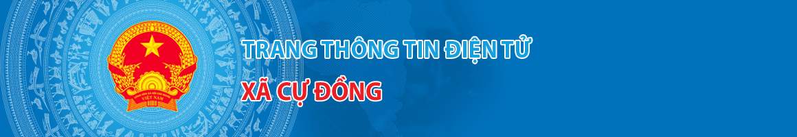 image banner